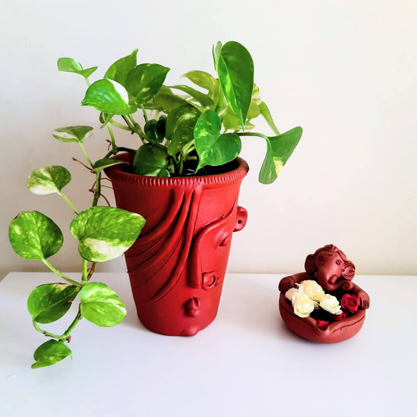 Female Face Planter