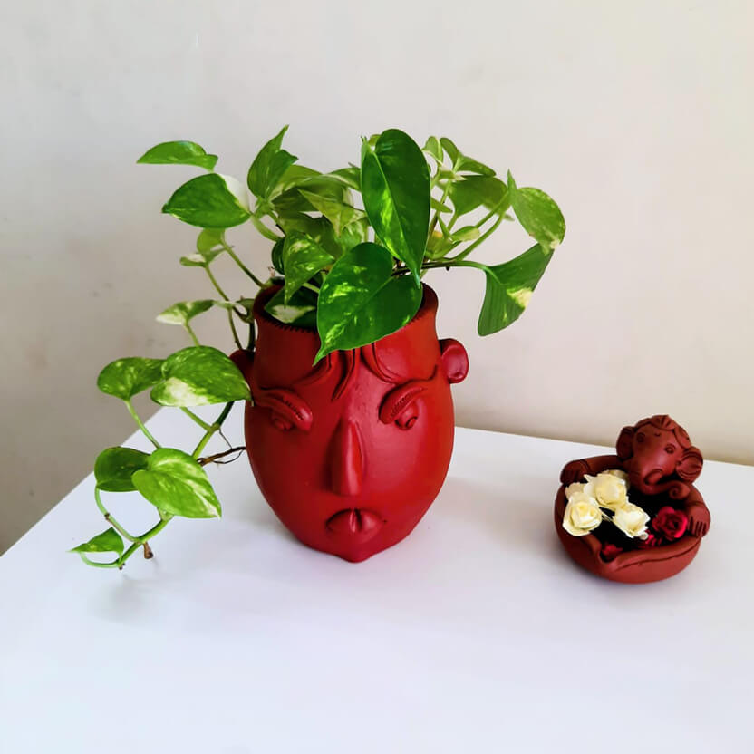 Male Face Planter